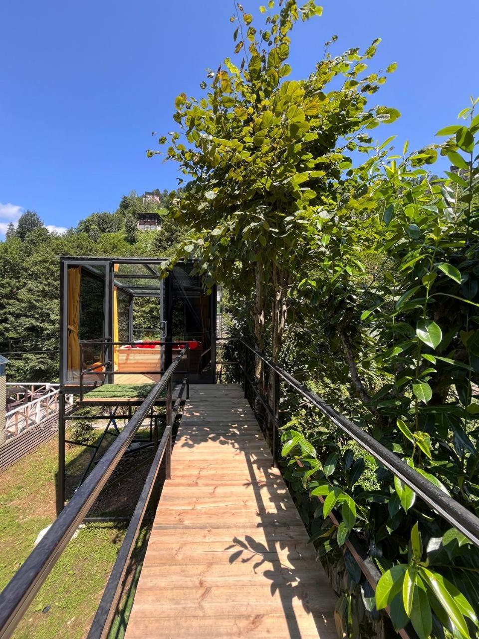 Moon River Bungalow Ayder Yaylası Dış mekan fotoğraf